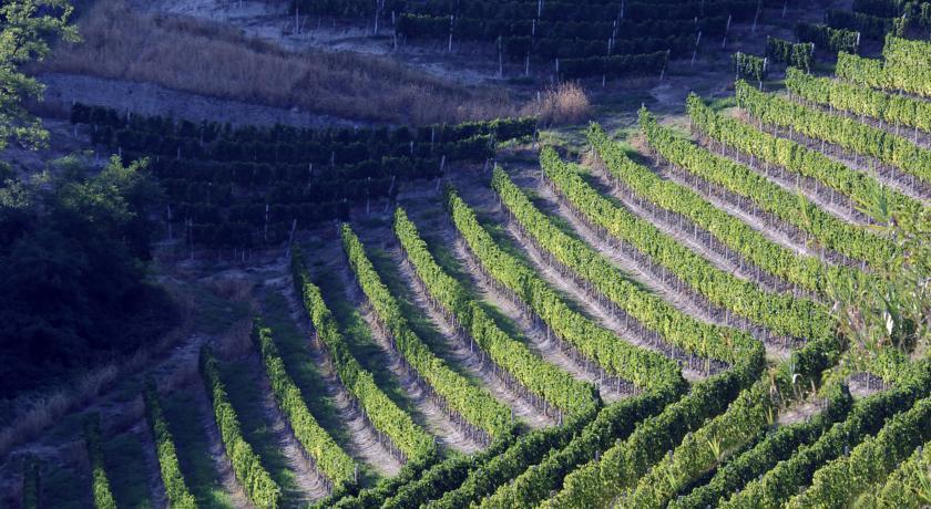 Cascina Arcangelo Raffaele Verduno Exteriör bild