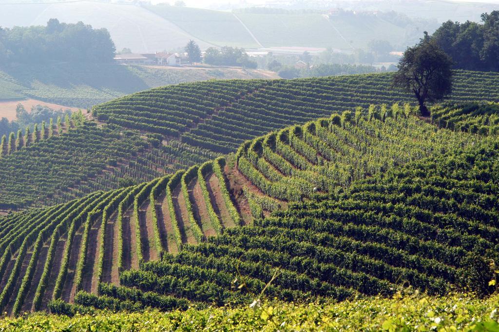 Cascina Arcangelo Raffaele Verduno Exteriör bild
