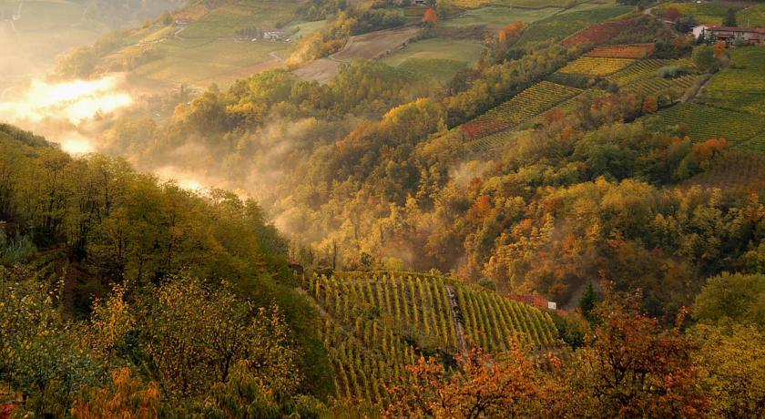 Cascina Arcangelo Raffaele Verduno Exteriör bild