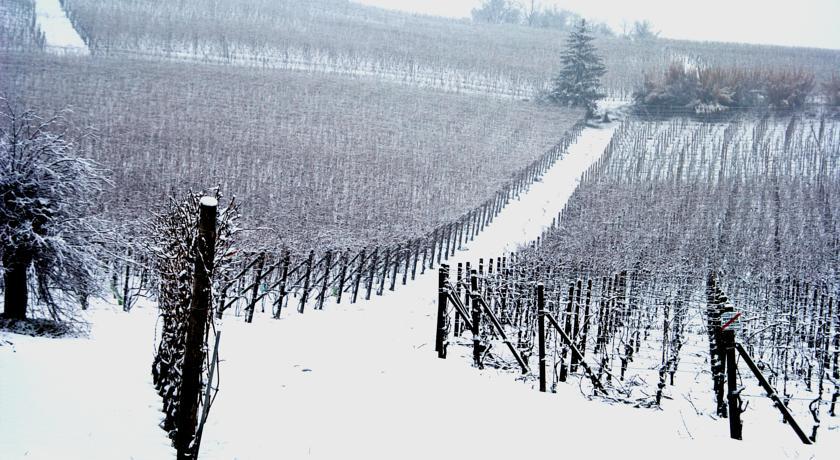 Cascina Arcangelo Raffaele Verduno Exteriör bild