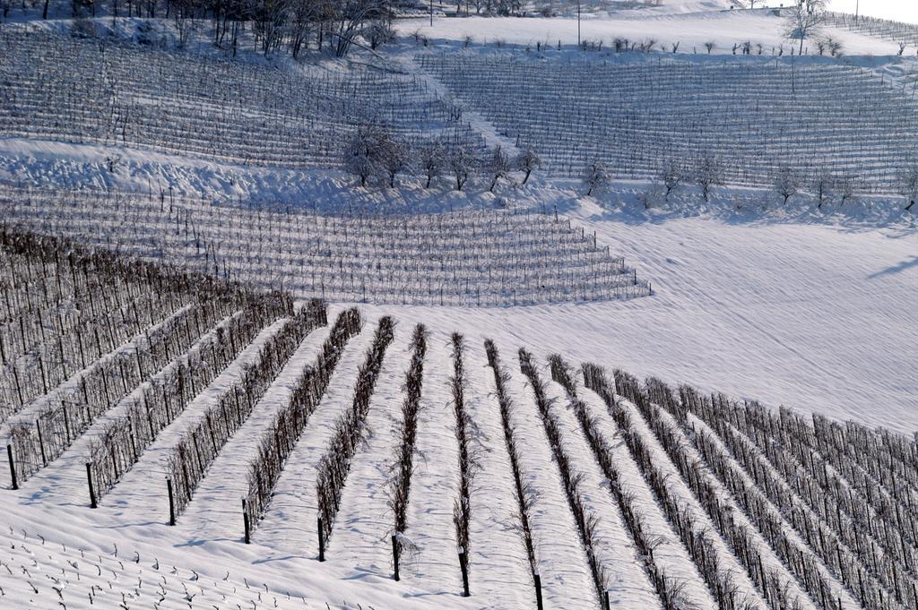 Cascina Arcangelo Raffaele Verduno Exteriör bild