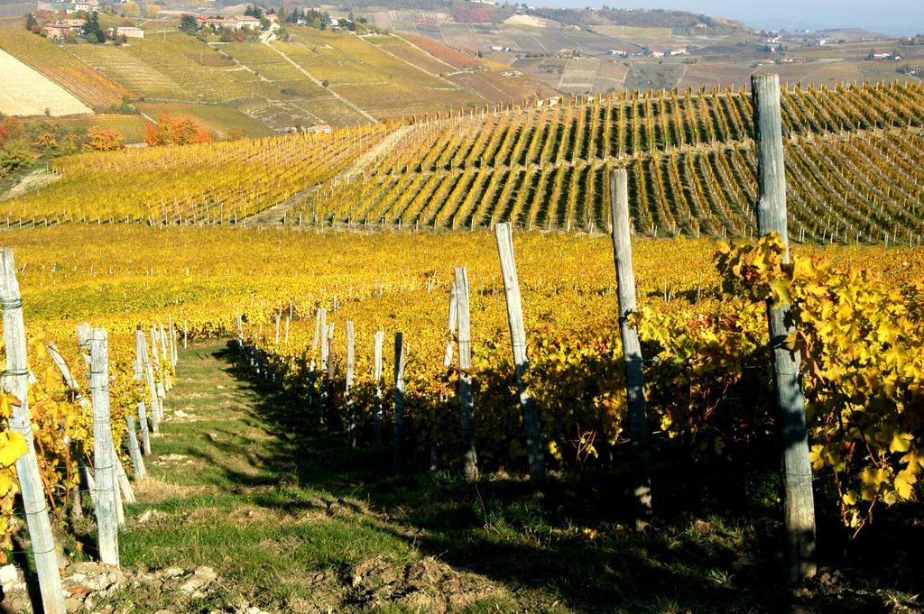 Cascina Arcangelo Raffaele Verduno Exteriör bild