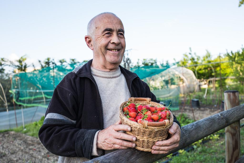 Cascina Arcangelo Raffaele Verduno Exteriör bild
