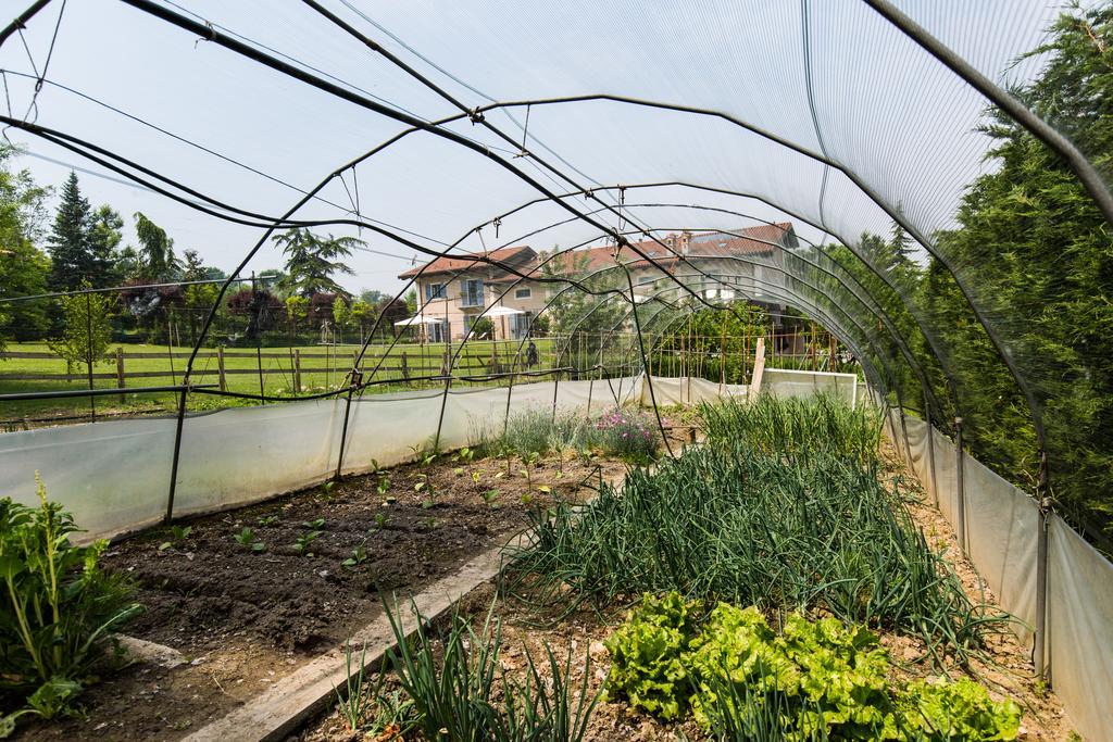 Cascina Arcangelo Raffaele Verduno Exteriör bild